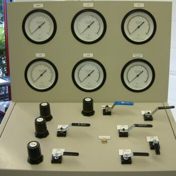 Calibrated test panel